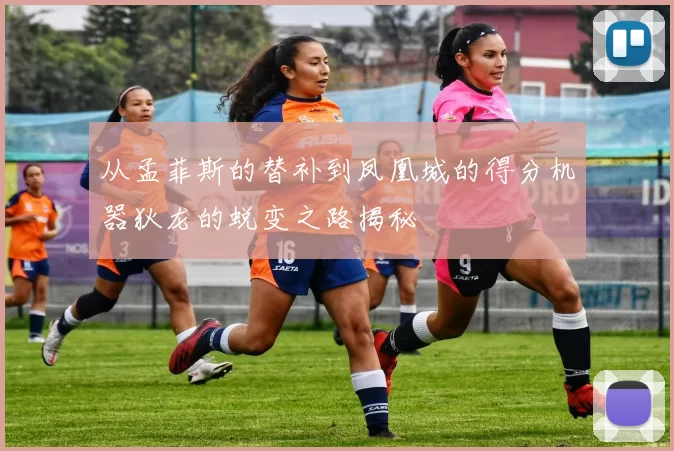 从孟菲斯的替补到凤凰城的得分机器狄龙的蜕变之路揭秘